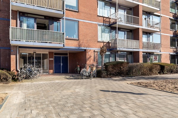 Burgemeester de Raadtsingel 263-2.jpg